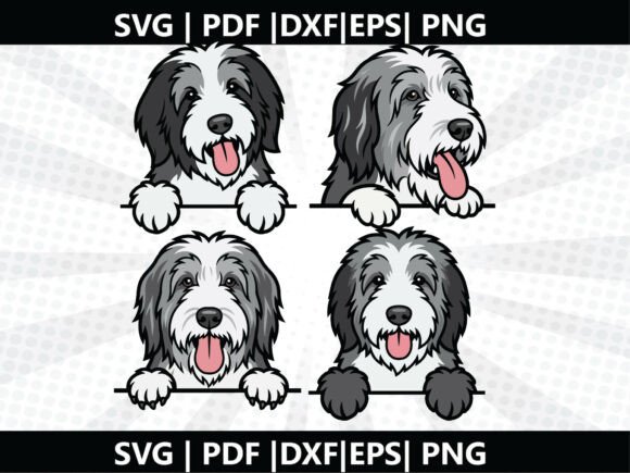 Bearded Collie SVG Cricut Cut File: Graphics and Freebies for Creative Publishing